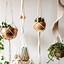 Image result for Hanging Plants Indoors Apartment