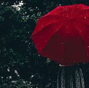 Image result for Wallpaper Black White Red Umbrella