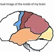Image result for Blank Meme Format Brain