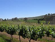 Bildergebnis für Taylors Chardonnay Jaraman Adelaide Hills Clare Valley