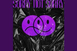 Image result for Not Really Sorry