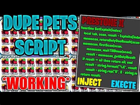 Image result for Duping Script for Pet Sim X