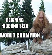 Image result for Hide and Seek Chamoion Meme