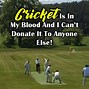 Image result for Cricket Passion Quotes