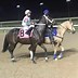 Image result for Quarter Horse Race