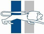 Image result for Detroit Lions Classic Logo