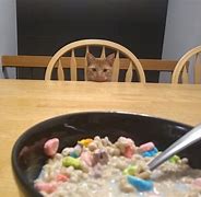 Image result for Always After Me Lucky Charms Meme