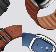 Image result for Apple Watch S4 表带颜色