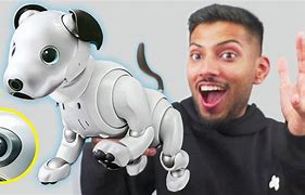 Image result for Robotic Dogs That Look Real