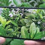 Image result for Samsung Galaxy A11 Camera