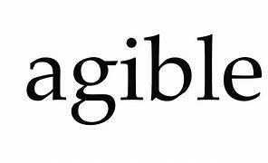 Image result for agible