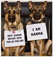 Image result for Dogs Called Carma