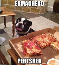 Image result for Dog Pizza Meme