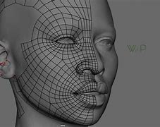 Image result for Old Woman Face Topology