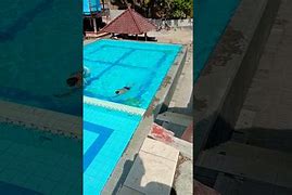 Image result for Swimmmign