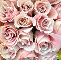 Image result for Dusty Rose Wedding Colors