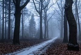 Image result for Faded Path Background