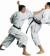 Image result for Martial Arts Background