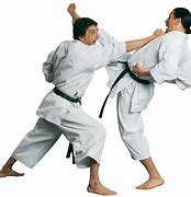 Image result for Karate Taekwondo