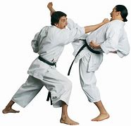 Image result for Karate Belt Colors