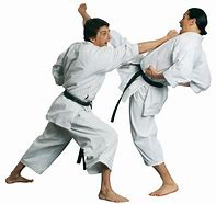 Image result for Karate Poses