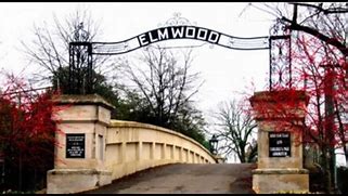 Image result for elmwood
