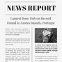 Image result for Newspaper Report Writing Examples