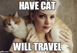 Image result for Cat On Car Meme