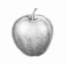 Image result for Apple Hatchimg Drawing