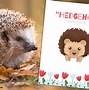 Image result for European Hedgehog Life Cycle