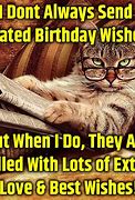 Image result for Happy Birthday Meme Cat Kitten Late