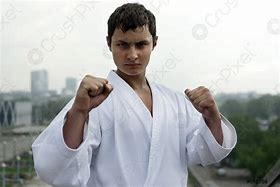 Image result for Karate Poses with White Background