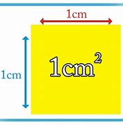 Image result for Things That Are 1 Cm Square D