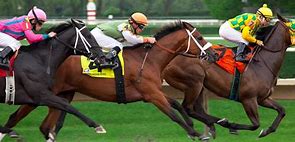 Image result for Thoroughbred Racing Horse Clip Art