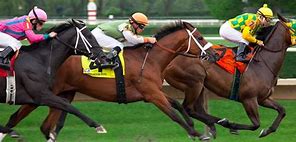 Image result for Horse Racing Wallpaper UHD Free