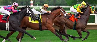 Image result for Horse Race Track Clip Art