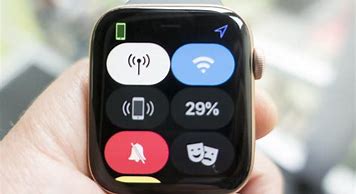 Image result for Apple Watch SE How To
