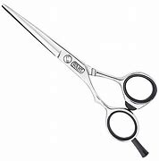 Image result for Hair Cutting Scissors Wahl