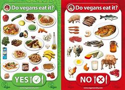 Image result for What Does Vegan Mean in Food