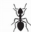 Image result for Ant Clip Art PNG