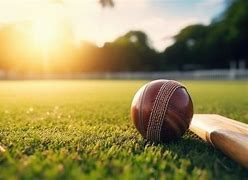 Image result for Tiny Cricket Stumps Funny