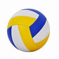 Image result for Volleyball Net and Ball