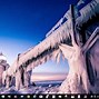Image result for Stray Animated Wallpaper