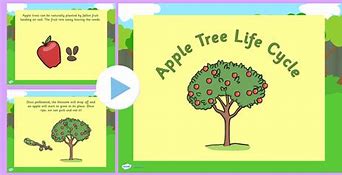 Image result for Apple Tree Template Printable