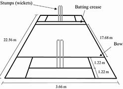 Image result for Cricket Pitch Drawing