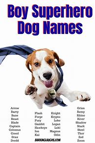 Image result for Boy Names for a Dog