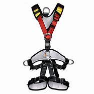 Image result for Climbing Safety Harness Full Body