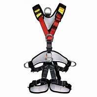 Image result for Full Body Climbing Harness