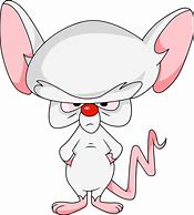 Image result for Pinky Brain Cartoon