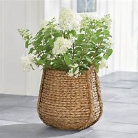 Image result for Faux Basket Planter